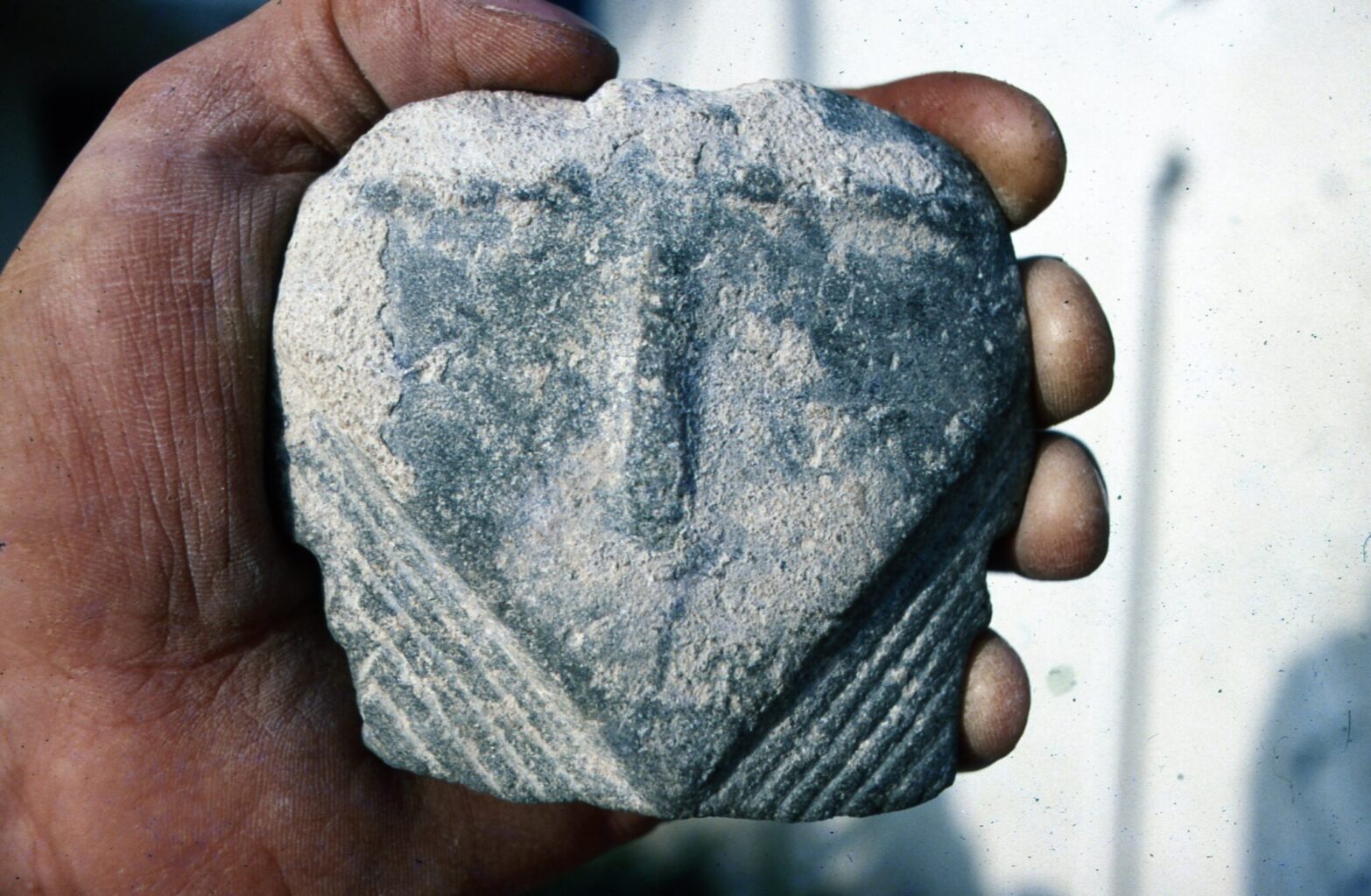 The Ortos Head: In May, 1986, I found this object on surface of an Aceramic Neolithic settlement site in Paphos District, now on display in the newly rennovated Paphos District Archaeological Museum.