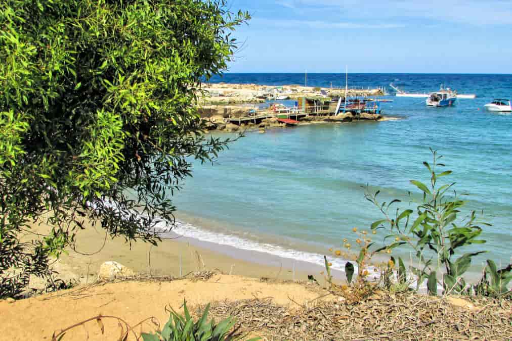 Green bay protaras