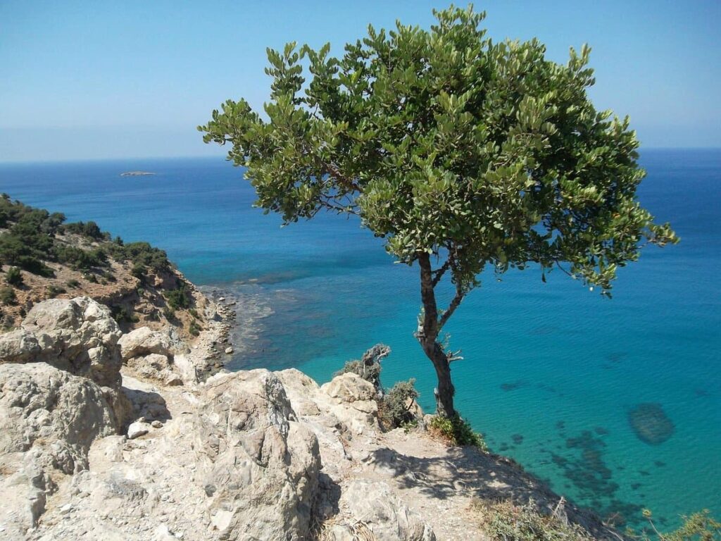 Polis adonis nature trail